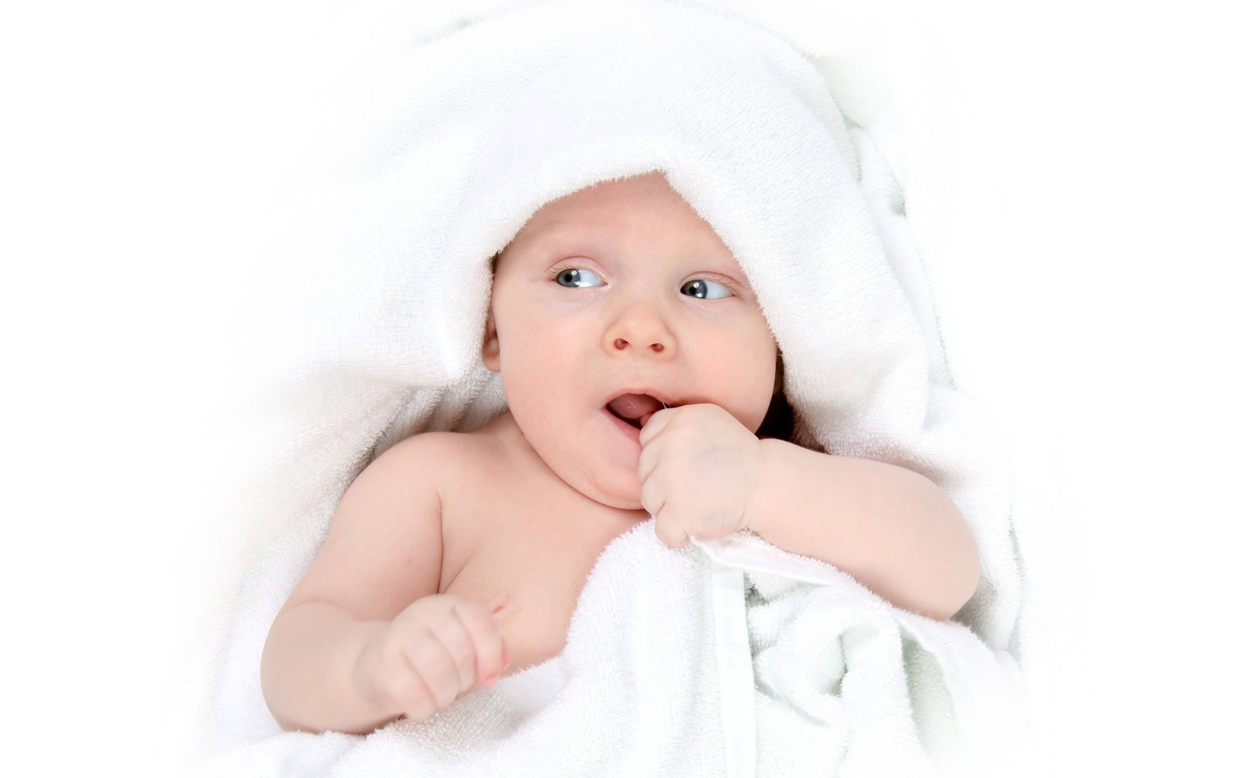 宁波捐卵机构试管婴儿成功率多少